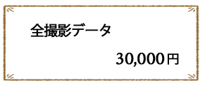 全撮影データ30,000円